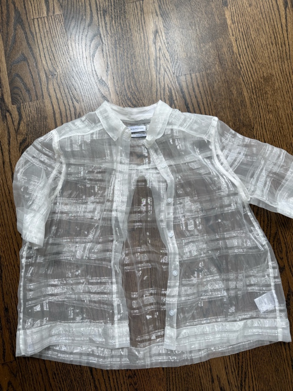 Urban Outfitters Sheer Ivory Striped Button-Up